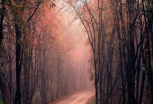 九游APP-西雅图海湾者锋线火力全开，防守压力山大