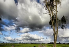 九游游戏-阿尔希拉尔主帅战术布置细致,力争半决赛全胜