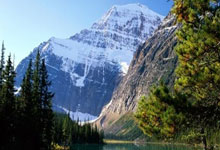 九游游戏-阿尔希拉尔主帅战术布置细致，力争半决赛全胜