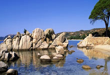 九游VIP-利物浦防守体系升级，迎接关键战