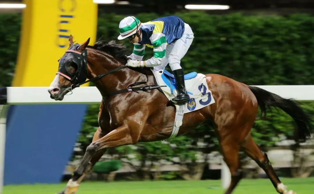 九游娱乐网页-雅加达轻松取胜，成功晋级下一轮赛事