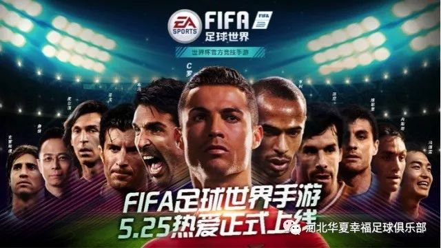 河北华夏幸福快速获胜，稳健发展中的简单介绍