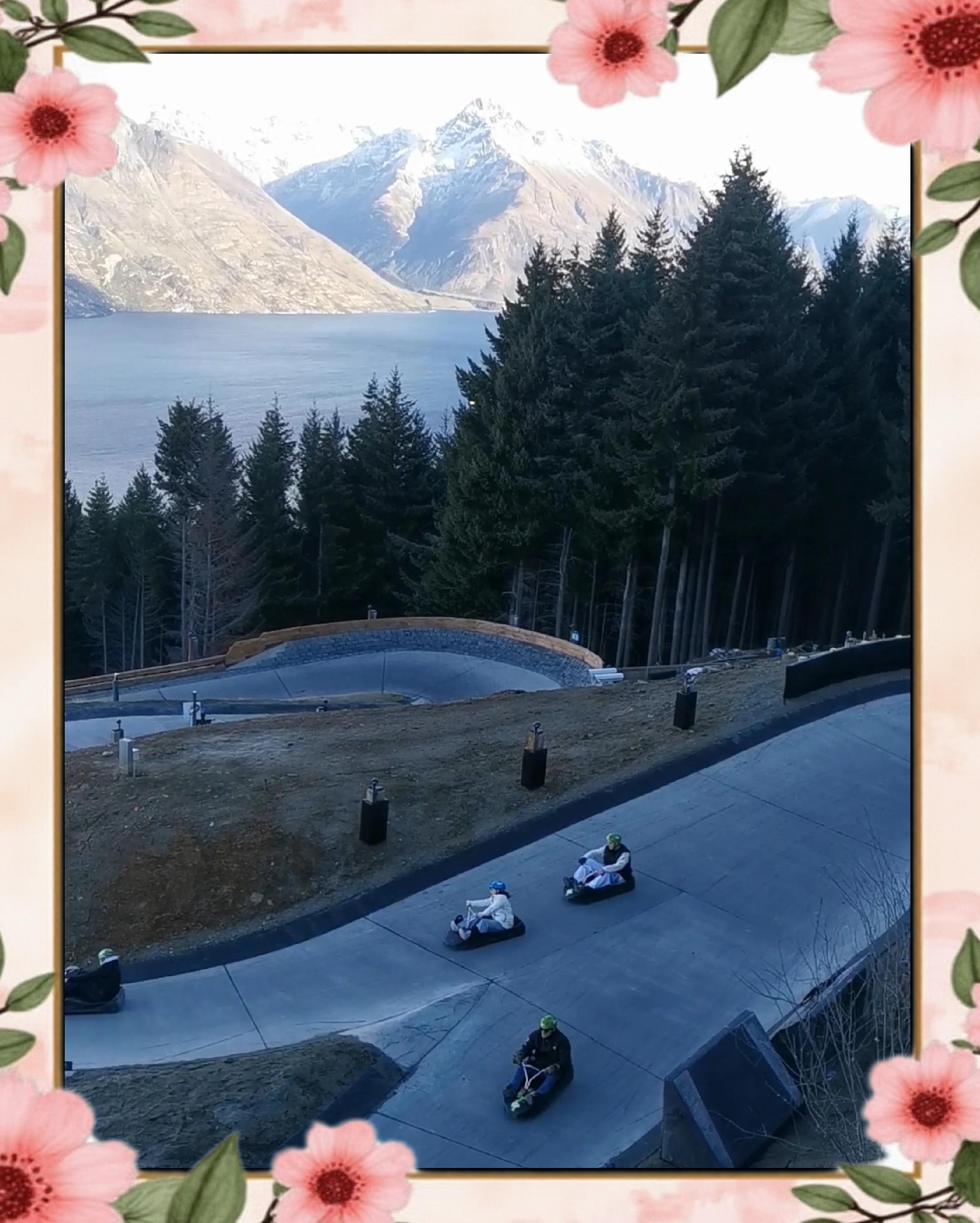 九游中国-关于挪威雪橇队勇夺冠军，速度与激情的碰撞的信息