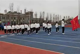 包含队将声马怒，何人能料想下一步的词条