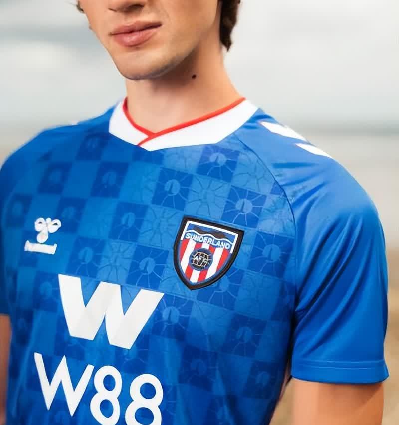 桑德兰主场失利，球迷情绪低落的简单介绍