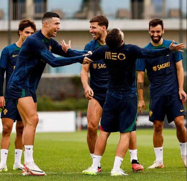 九游娱乐官方网站-瑞典队在欧预赛中实现三连胜，成功晋级的简单介绍