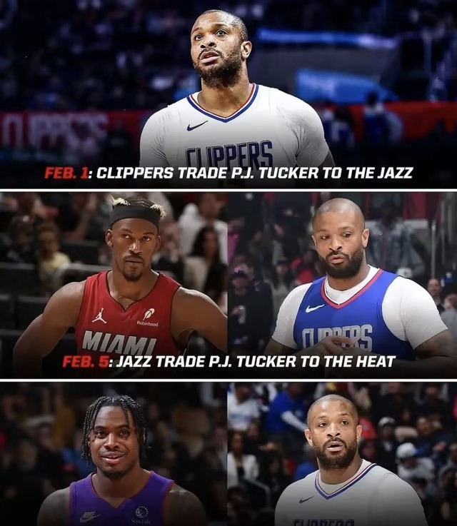 猛龙官方宣布签下前湖人球员塔克 猛龙官方宣布签下前湖人球员塔克